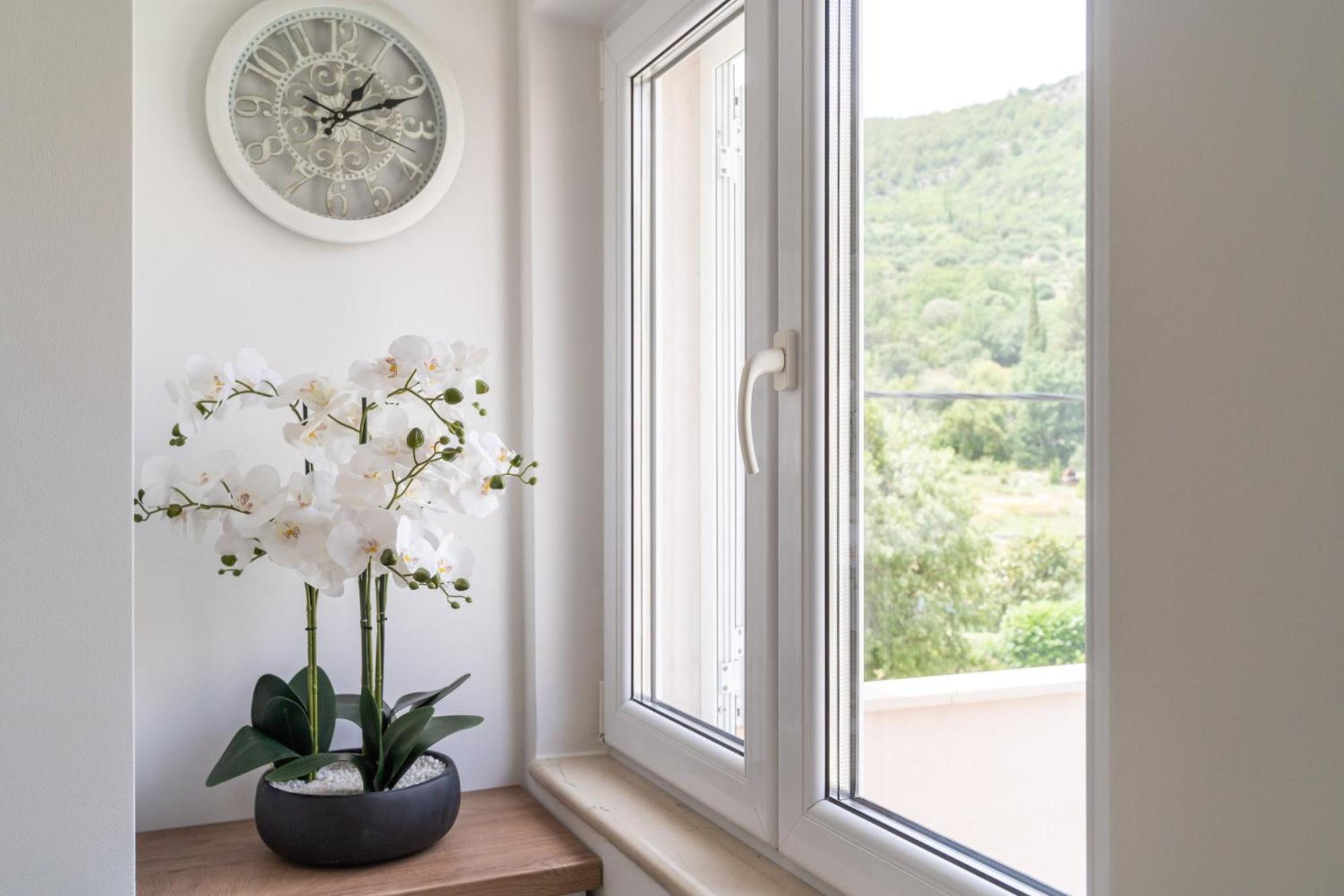 Villa Ivanka Zaton  Exteriör bild